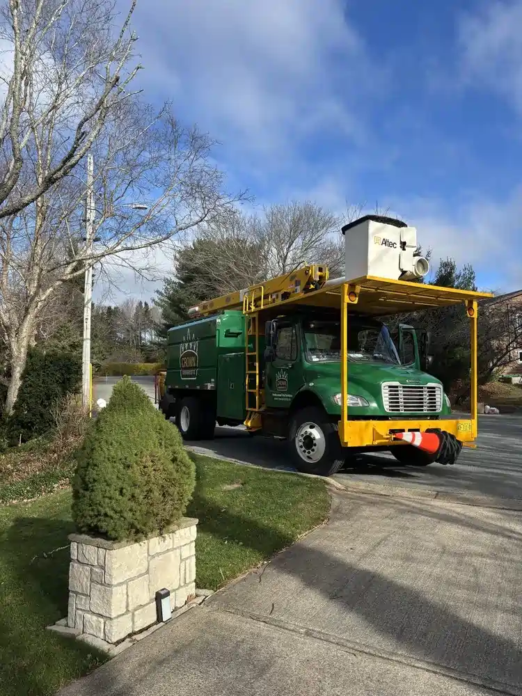 Crown Arborists photo 2