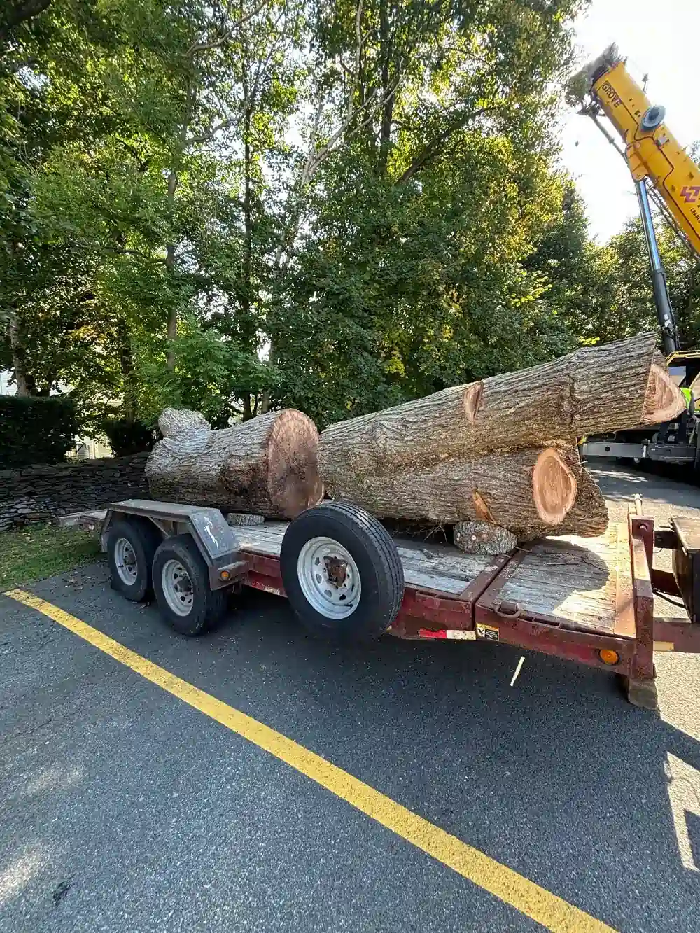 Lot Clearing and Site Preparation in Halifax & Dartmouth