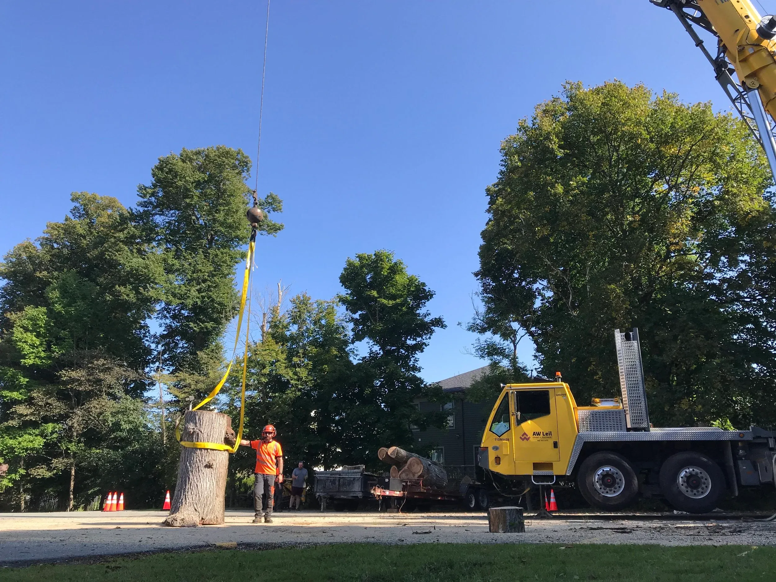 Stump Removal